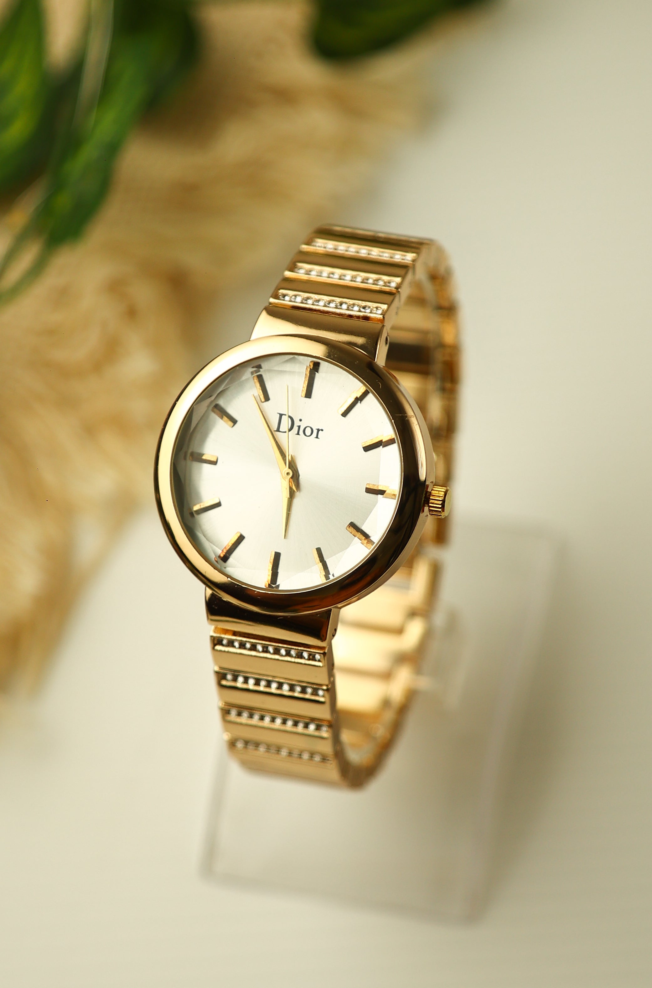 Dior Premium Mini